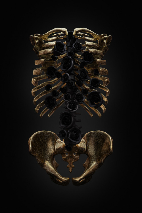 twistedtwinsproductions: ex0skeletal: Infestation by Billelis Stunning. 