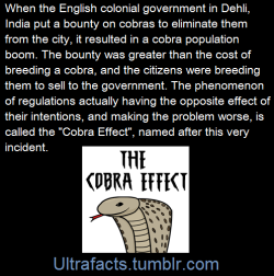 ultrafacts:    The cobra effect occurs when an attempted solution to a problem actually makes the problem worse. This is an instance of unintended consequences. The term is used to illustrate the causes of incorrect stimulation in economy and politics.