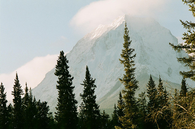 arquerio:  untitled by crrystal on Flickr. 