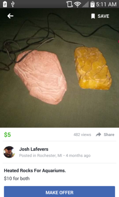 brownmetal: i thought this dude was sellin ham &amp; cheese