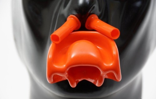latexonmymind: Every Day