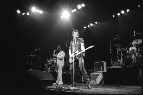 thewildandthedarkness: Bruce Springsteeen and the E Street Band at Winterland Arena, San Francisco, 