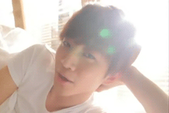 alohomorashlie:  #ashlie look   #okay so   #this is him   #after he plops onto