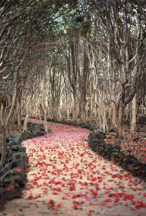 path in the city of Hagi, Japan en We Heart porn pictures