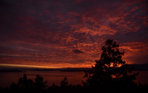 Pender Island View