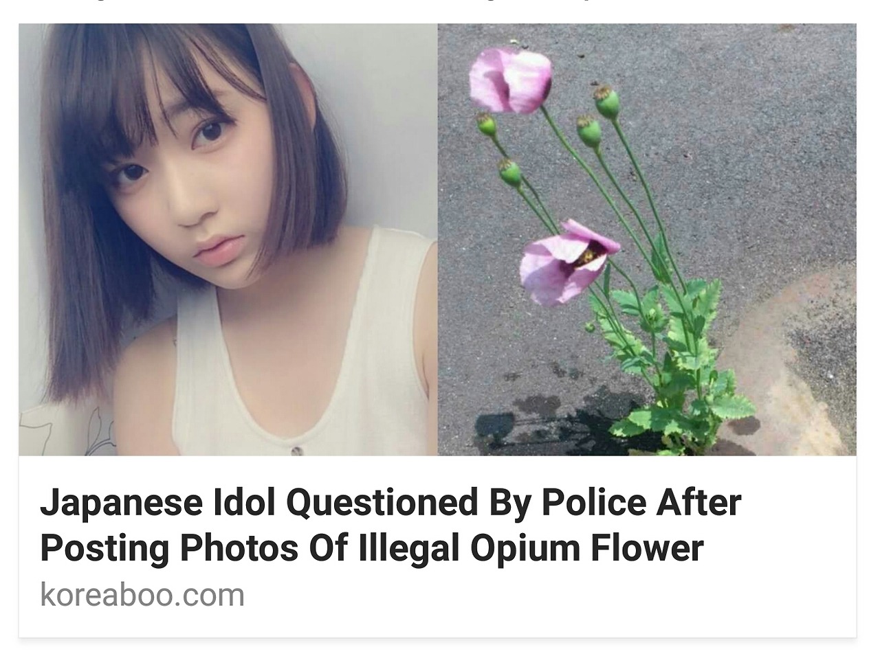 akb48girldaisuki:  kyaaaana: LMAO I’M DECEASED okay I went to the internet like