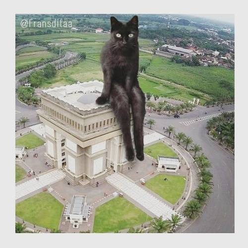 catsbeaversandducks: Catzillas: Giant Cats In Urban Landscapes Indonesian artist Fransdita Muafidin 