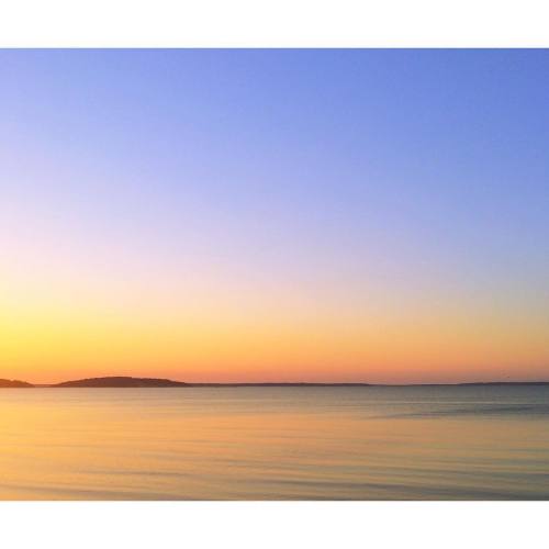 last night with @s_storms and @greggreenwald (at Sag Harbor, NY)