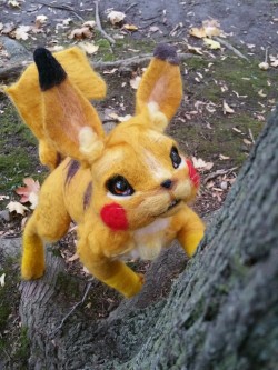 peachdaydreams:  A wild Pikachu appears ….