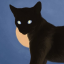 blackmoonoracle