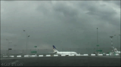 4gifs:  When airport employees get bored. 