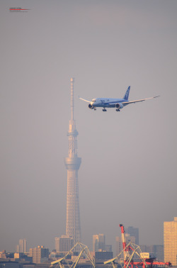 sunset-wing:  Photography by sunset-winghttp://sunsetwing.com/  Tokyo International Airport (Haneda Airport) / 羽田空港