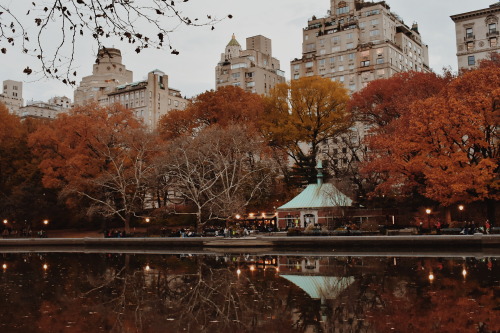 greemuel: Fall in Central Park. | @greemuel