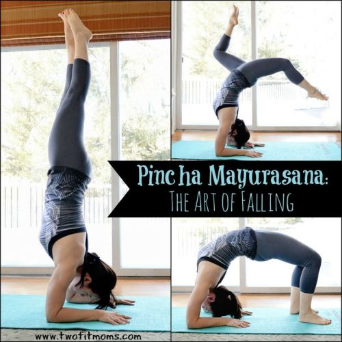 Pincha Mayurasana: The art of falling