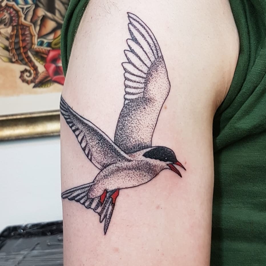 Reykjavik Ink  Arctic tern by evelqbiak           reykjavikink  rvkink arctictern tern birdtattoo icelandtattoo icelandtattoos  reykjavik iceland tattoo smalltattoo smalltattoos animaltattoo  animals travel 