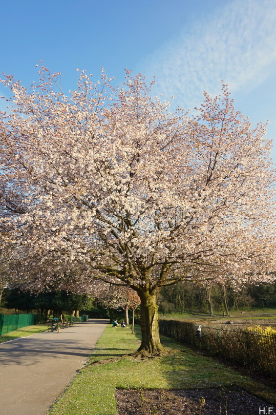Spring In The City.