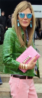 http://www.purseblog.com/celebrities/many-bags-anna-dello-russo/