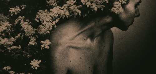 vivialic:inneroptics:Jonė Reed.