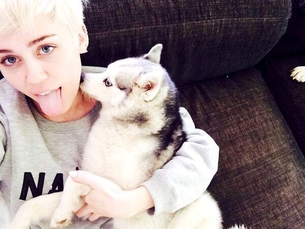 mileyfornia:  R.I.P Floyd &lt;3