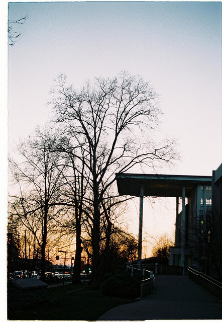 arcanja:  000034 by một vốc nắng on Flickr.