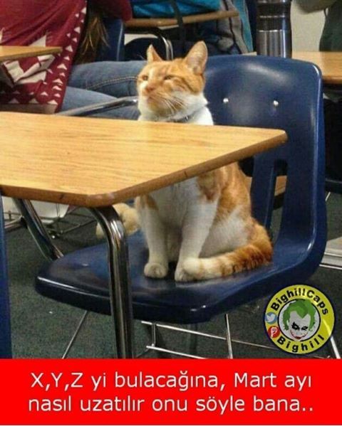 X,Y,Z yi bulacağına,Mart...