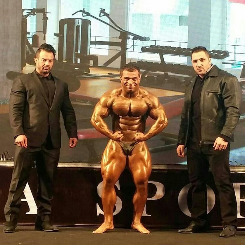  Majid Amani  
