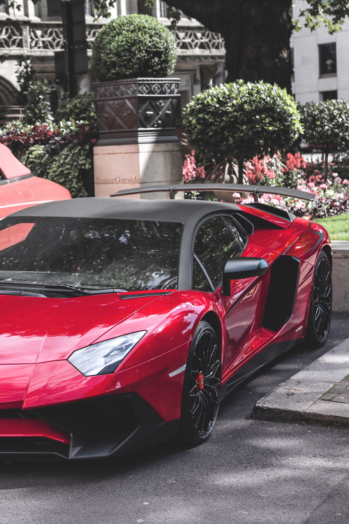Yes, you like cars if you are here