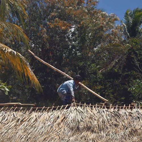 fer-romero:  Mazunte, Oaxaca #people #travel #jungle #priime #nikon #nikonphotography #priime_vida #