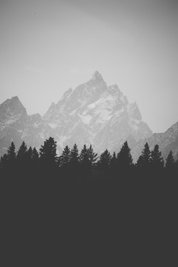 man-and-camera:  Contrast in Grand Teton National Park ➾ Luke Gram 