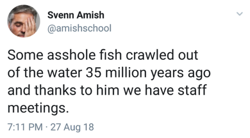 Sex whitepeopletwitter:Stupid fish pictures