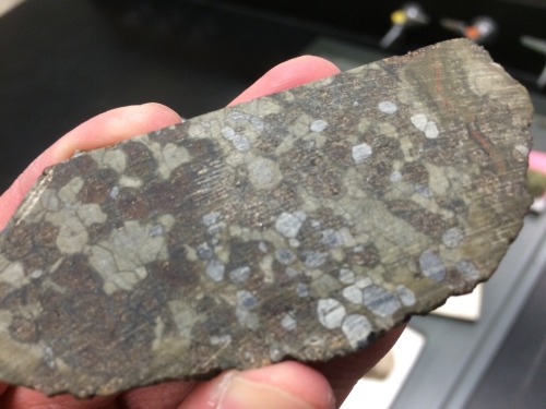 anomalokaris: Igneous, Metamorphic, Mantle rock petrography lab tomorrow. Lots of interesting textur