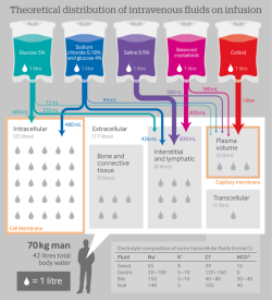 allheartcare-deactivated2016010: Ever wondered where different IV fluids infuse throughout the body?