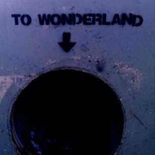 fifteenpoppies:  Wonderland.