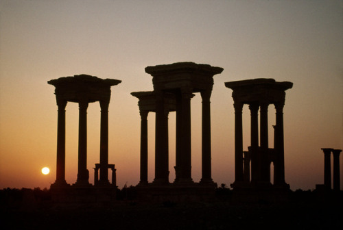 biladal-sham:Syria. Palmyra/Tadmur. 1995. The Roman ruins. Harry Gruyaert.