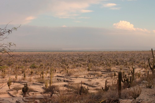 Quilmes ruins