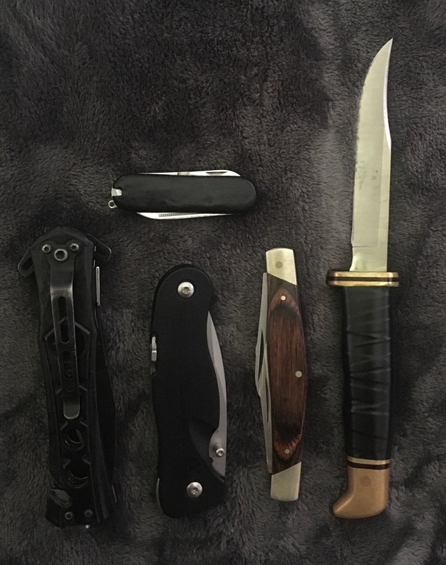 Not the usual type of thing I post, but I do enjoy knives, and I’ve got myself a little collection of them over time. I’m no expert, and I’m not really into knowing all the brands and types and ratings and nuances to this type of stuff, but I just enjoy casually having them in my collection ¯\_(^◡^)_/¯I think my two favourites are the ones in the second photo, mostly because I like the look of the brown woodgrain pattern (the Buck knife), as well as the smoother function of the black one (the brand is Leatherman). They all have sentimental value too, since they’re all from family members.  #knife aesthetic#knifecore#knife collection#knives#pocket knives#pocket knife#knife#tw knives#knives tw#knife tw#cw knives#tw blade#cw knife#sharp tw #tw sharp things  #tw sharp objects  #cw sharp objects #gremlincore#gremlin hoard#dragon hoard#dragoncore#goblincore#knife community#goblin hoard#corvidcore#crow hoard#crowcore#crytpidcore#crytpids