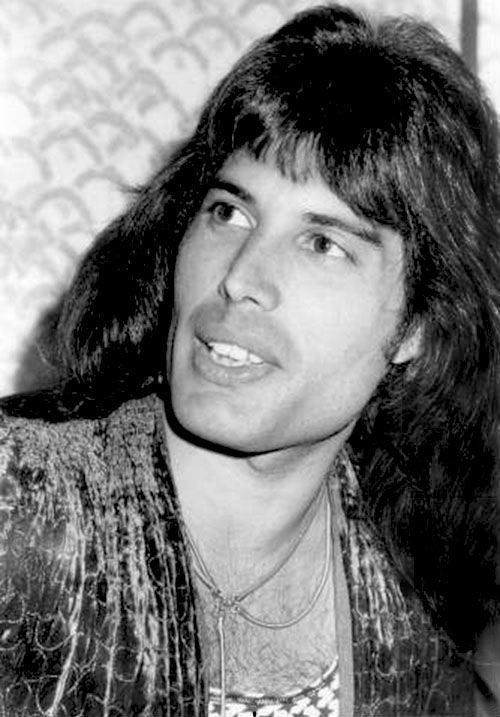 Found this photoshopped picture of what Freddie Mercury would have looked  like if he kept his long hair with his mustache  rqueen