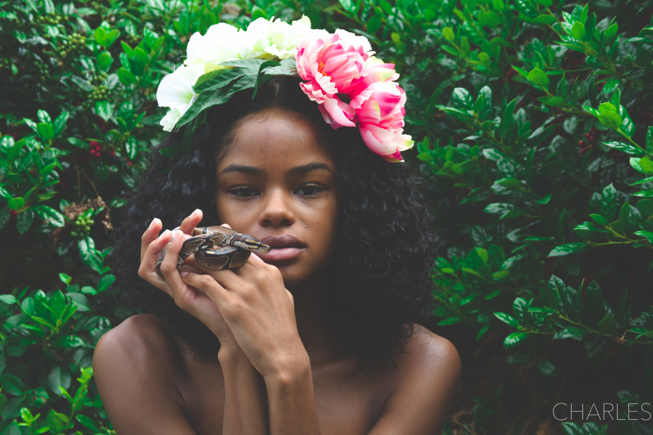 lasergunsandcongodrums:  Garden of Eden Photography by Spencer Charles 