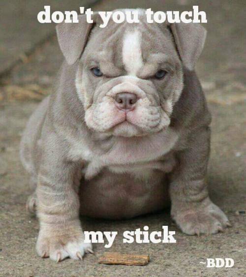 ragingredhead16:  familylovepeacejoy:  Lol   That’s how im feeling today