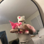 finnthehumam