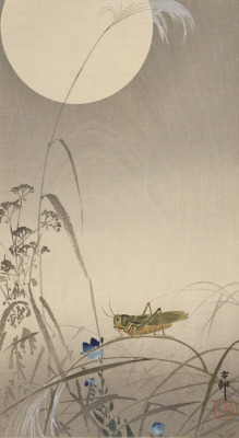 Fujiwara57:“Grasshopper And Full Moon“ By Ohara Koson 小原古邨 (1877-1945). 