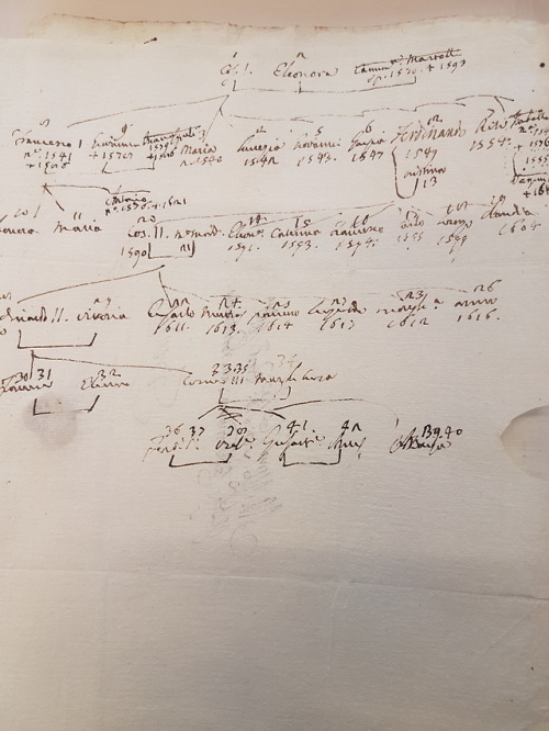 Ms. Coll. 738, Folder 15 - Collection of Florentine genealogical documents Families! Do you know the