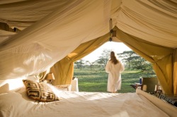 the-cozy-room:  Sanctuary Ngorongoro Crater Camp☼ coziest blog on tumblr ☼