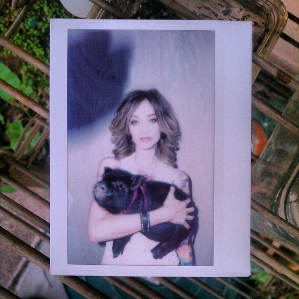 Pigs in Arizona. model Theresa Manchester instax noisenest