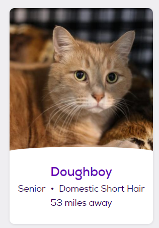 eliteknightcats:  swav:   swav: choose your fighter the correct answer was…………………hobgoblin