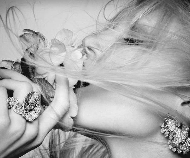 ~Sensuelle's Picture Book~