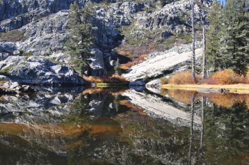 excavategold: morning dips in chilly mountain lakes