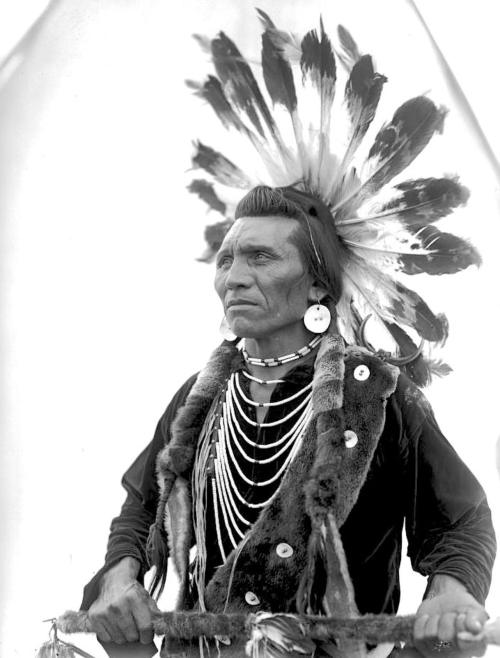 Atoem Elem Wh Skil Em Me (Chief Eagle). Salish or Kootenai. Western Montana. ca. 1904-1906.  by Edward H. Boos Nudes & Noises  