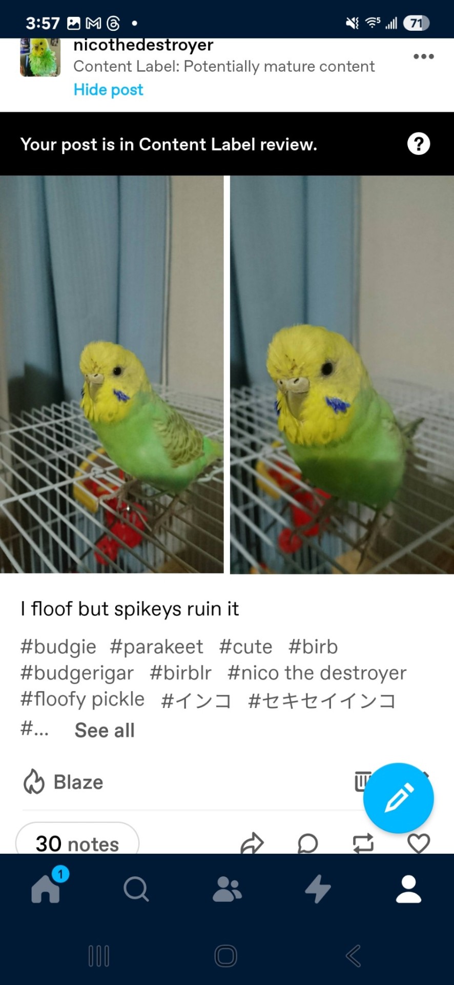 Tumblr media