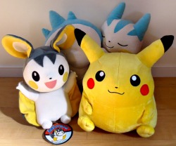 pokemon-personalities:  sunyshore:  Yesterday I went out to get my life-size AND real life WEIGHT limited and very exclusive Pikachu plush by BEAMS! Just like the real Pikachu, he is .4 meters tall and weighs 6 kilograms… I didn’t know how heavy 6